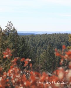 G – Chicken Foot Trail Mancos State Park 3.30.2018