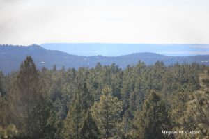 H – Chicken Foot Trail Mancos State Park 3.30.2018