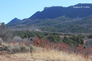 H – Horse Gulch 4 – 4.2.2018