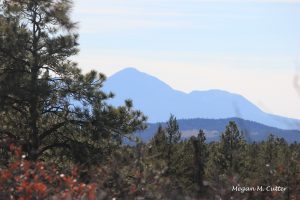 I- Chicken Foot Trail Mancos State Park 3.30.2018