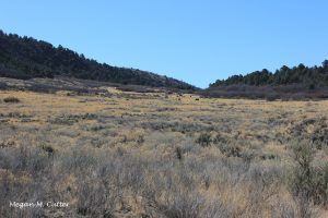 K – Horse Gulch 7 – 4.2.2018