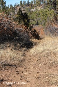 L – Chicken Foot Trail Mancos State Park 3.30.2018