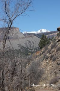 N – Horse Gulch 10 – 4.2.2018