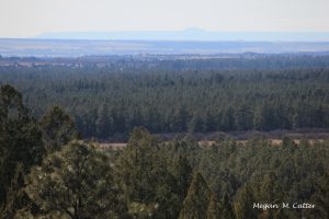 O- Bear Trail Mancos State Park 3.30.2018