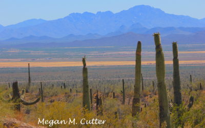 Returning – Discovering Breath in the Arizona Land